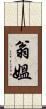 翁媼 Scroll
