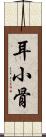 耳小骨 Scroll