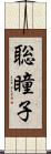 聡瞳子 Scroll