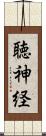 聴神経 Scroll