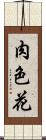肉色花 Scroll