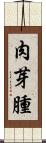 肉芽腫 Scroll