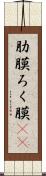 肋膜 Scroll