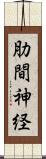 肋間神経 Scroll