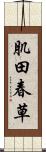 肌田春草 Scroll