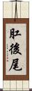 肛後尾 Scroll