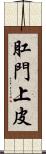 肛門上皮 Scroll