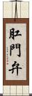 肛門弁 Scroll