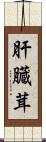 肝臓茸 Scroll