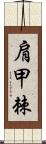 肩甲棘 Scroll