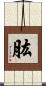 肱 Scroll