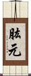 肱元 Scroll