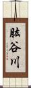 肱谷川 Scroll