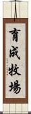 育成牧場 Scroll