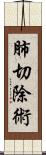 肺切除術 Scroll