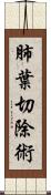 肺葉切除術 Scroll