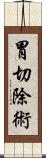 胃切除術 Scroll