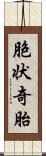 胞状奇胎 Scroll