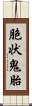 胞状鬼胎 Scroll