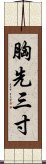 胸先三寸 Scroll