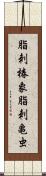 脂刺椿象;脂刺亀虫 Scroll