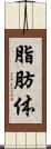 脂肪体 Scroll