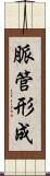 脈管形成 Scroll