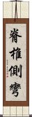 脊椎側彎 Scroll