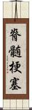 脊髄梗塞 Scroll