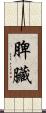 脾臟 Scroll