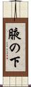 腋の下 Scroll