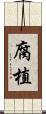 腐植 Scroll