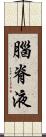 腦脊液 Scroll