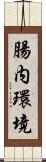 腸内環境 Scroll