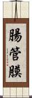 腸管膜 Scroll