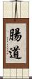 腸道 Scroll