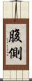腹側 Scroll