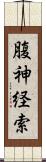 腹神経索 Scroll