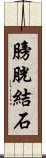 膀胱結石 Scroll