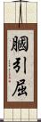 膕 Scroll