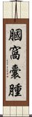 膕窩囊腫 Scroll