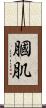膕肌 Scroll
