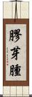 膠芽腫 Scroll