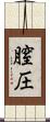 膣圧 Scroll