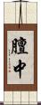 膻中 Scroll