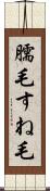 臑毛 Scroll