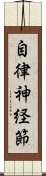 自律神経節 Scroll