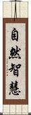 自然智慧 Scroll