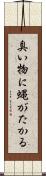 臭い物に蝿がたかる Scroll
