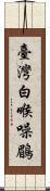 臺灣白喉噪鶥 Scroll